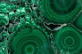 Flowery Polished Malachite Slab - DR Congo #360773-1